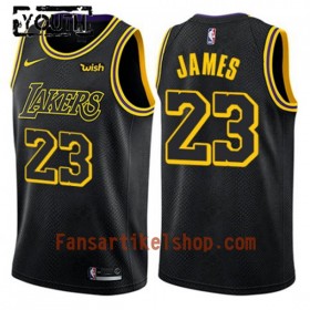 NBA Los Angeles Lakers Trikot LeBron James 23 Nike City Edition Swingman - Kinder